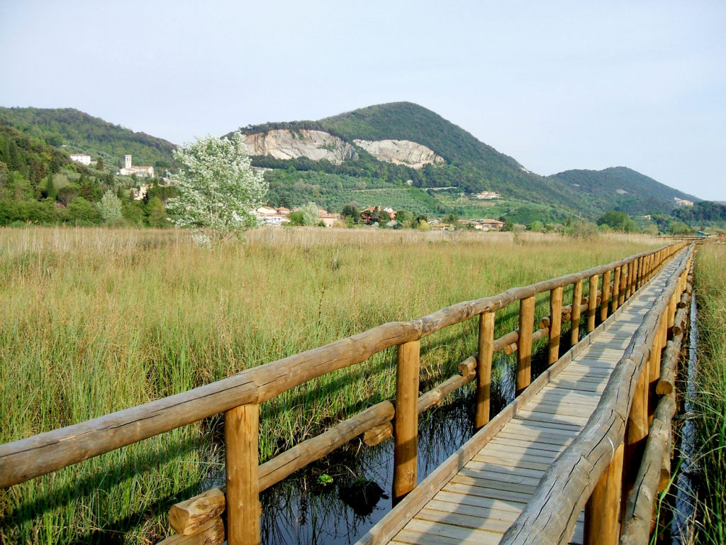 Parco di Migliarino San Rossore