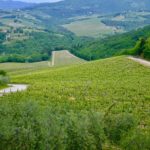Chianti_panorama