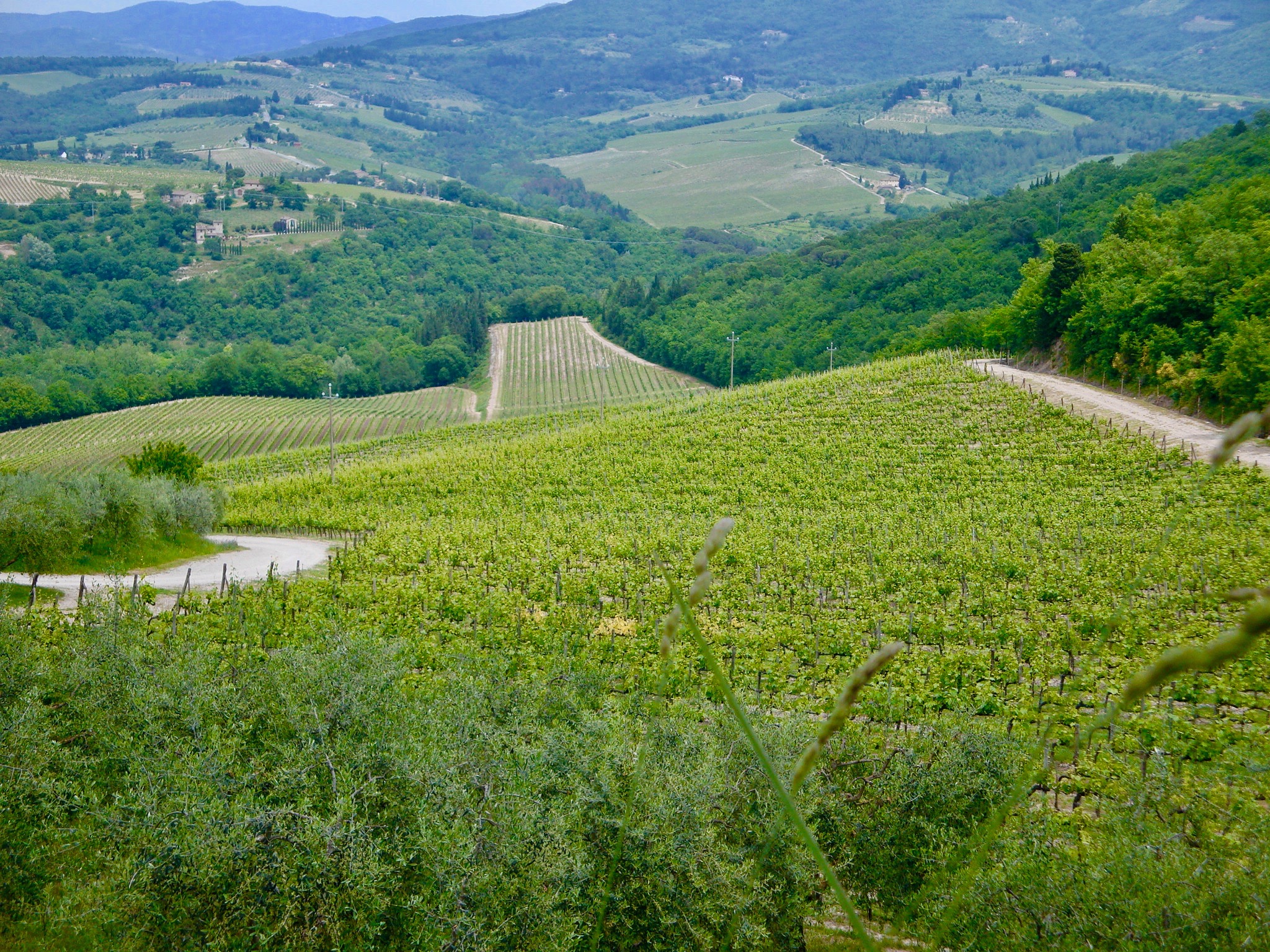 Chianti_panorama
