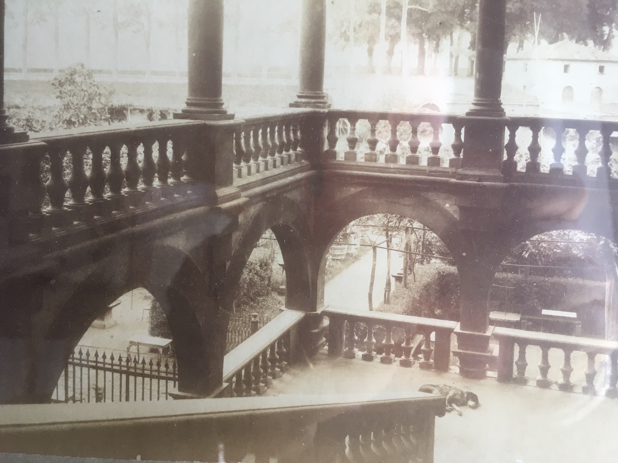Foto della scalinata di Palazzo Pfanner