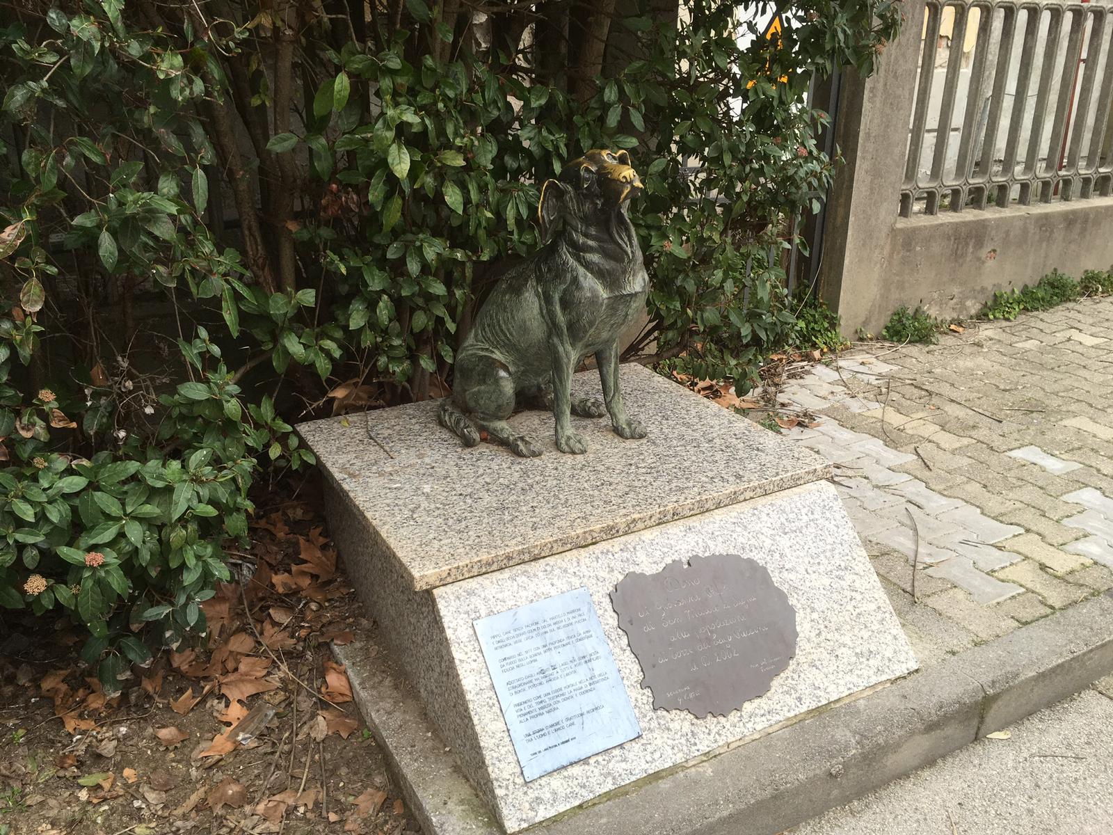 Cane